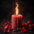Free Trial: Love Manifestation Program
